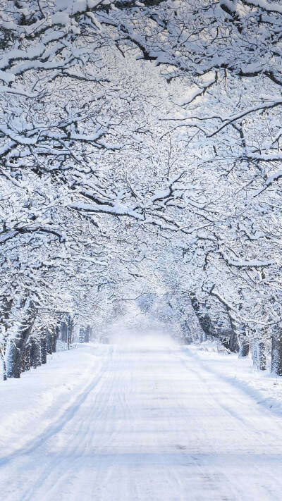 雪景- 堆糖,美图壁纸兴趣社区