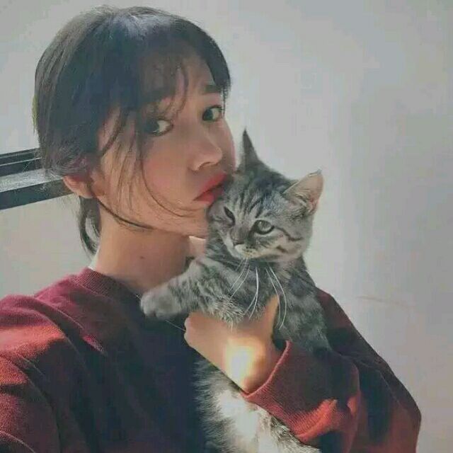 女生头像 小猫咪