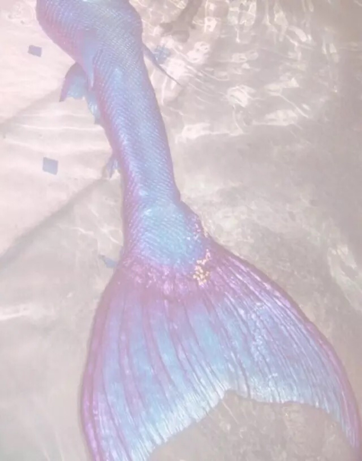 DIY大小鱼尾海洋系列美人鱼蛋糕液态硅胶翻糖模具贝壳海螺-阿里巴巴