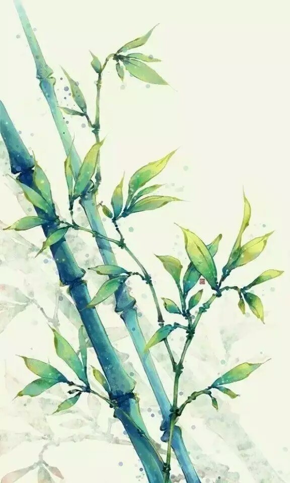 唯美简约壁纸小清新绿色护眼手绘竹子
