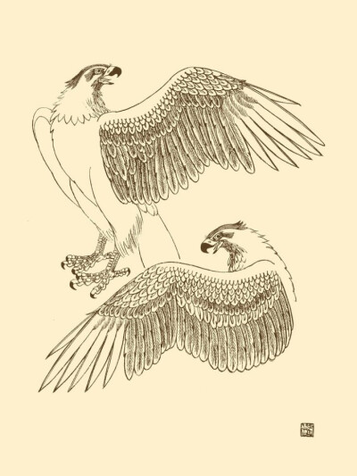 白描画