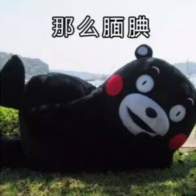 熊本熊表情包 "那么腼腆"