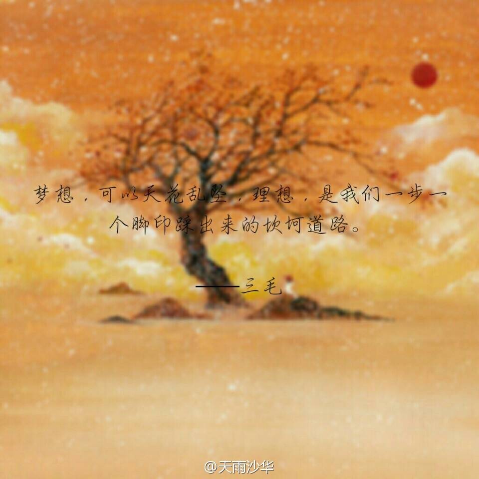 梦想,可以天花乱坠,理想,是我们一步一个脚印踩出来的坎坷道路.