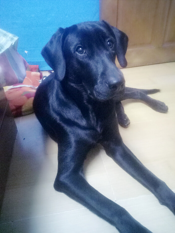 一定是特别的缘分