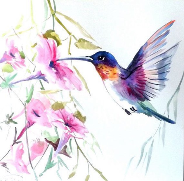 和你分享来自画师@于飞的唯美蜂鸟水彩画作品,艳丽的色彩搭配鸟儿本身