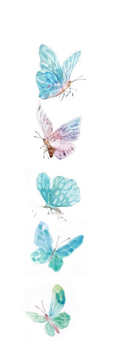 蝴蝶,手绘,1