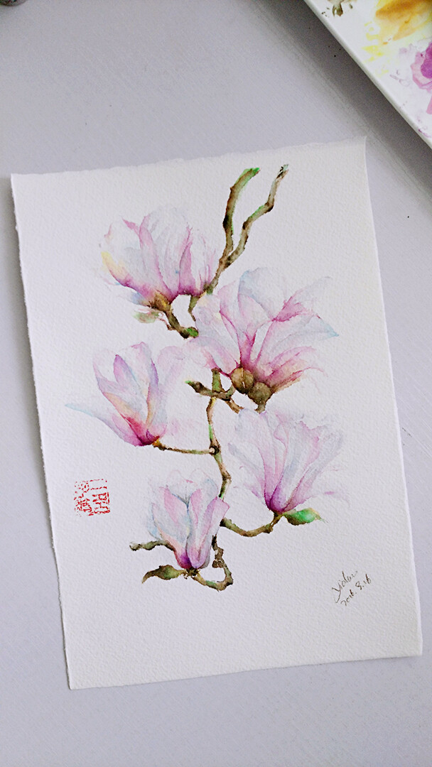 玉兰花,画完天已黑。
