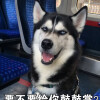 二货- 专辑 - 堆糖,美图壁纸兴趣社区
