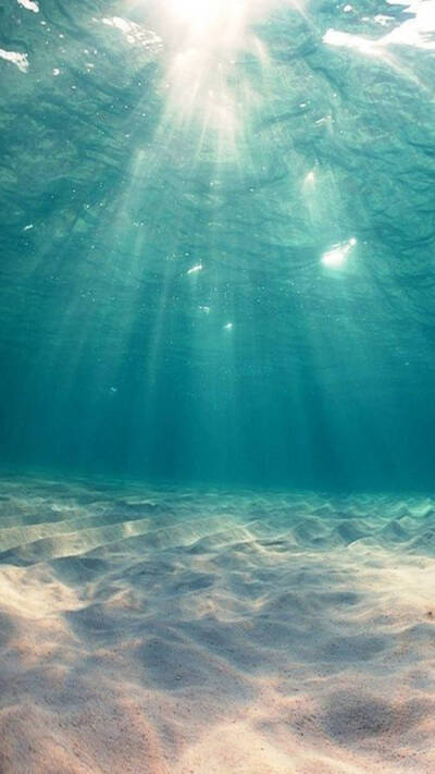 唯美风景