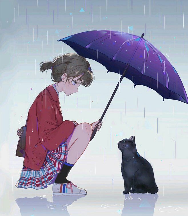 下雨天捡到一只淋雨的小猫四目相… - 堆糖,美图壁纸
