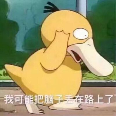 鸭子