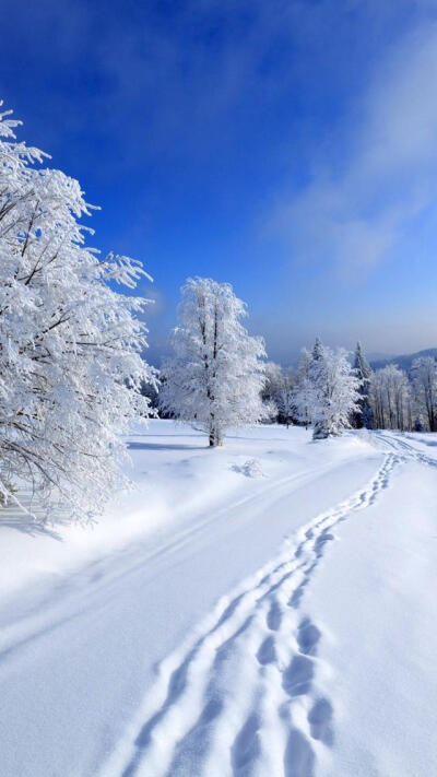 雪景空 堆糖 美图壁纸兴趣社区