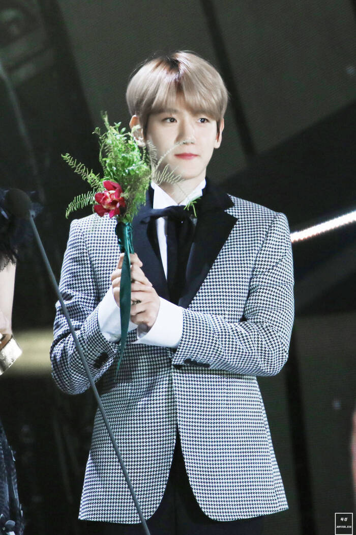 边伯贤 170113金唱片大赏 Dream音源本赏