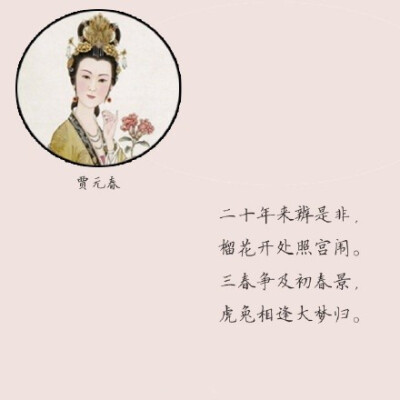 金陵十二钗判词的唯美古风插画带字