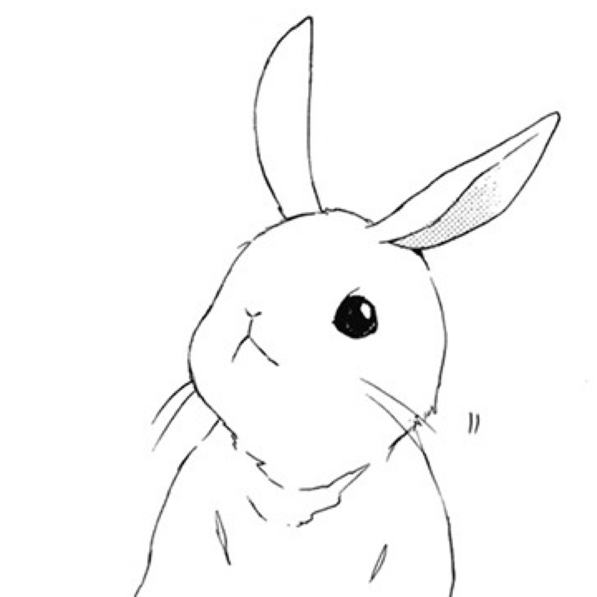 矢量卡通可爱兔头图片素材免费下载 - 觅知网