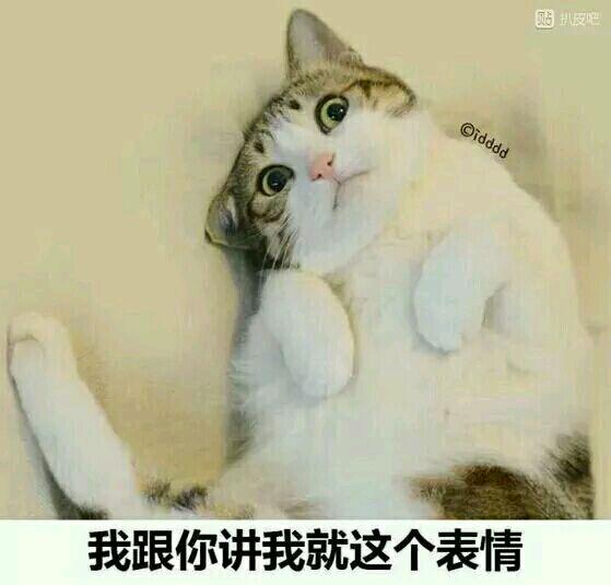 搞笑gif 文字控 斗图 表情包 装逼大神 萌表情 贱表情  n