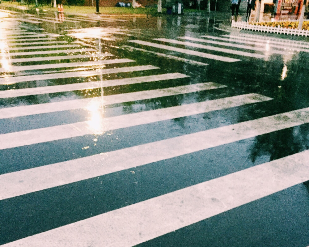 学校下雨夜时的斑马线 - 堆糖,美图壁纸兴趣社区