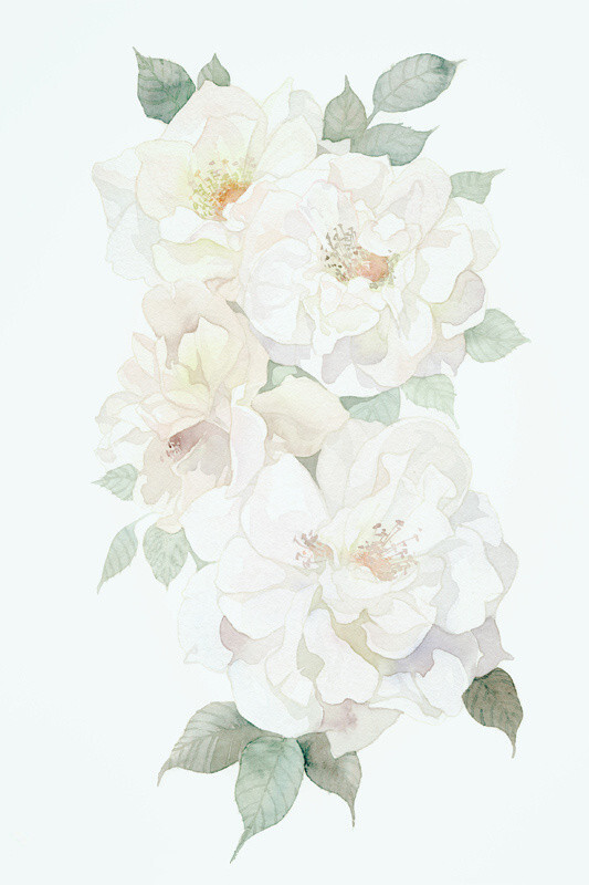 十年生死两茫茫,不思量,自难忘