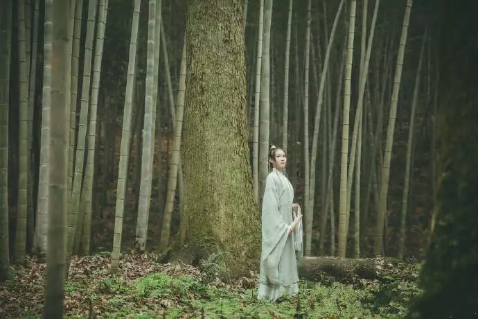 对酒当歌,人生几何.