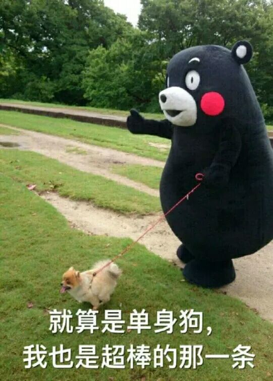【funny】乱七八糟的表情包2333 滑稽 污的可爱 纯文字 斗图 by谭温楠