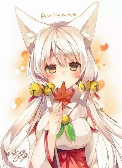 猫耳娘