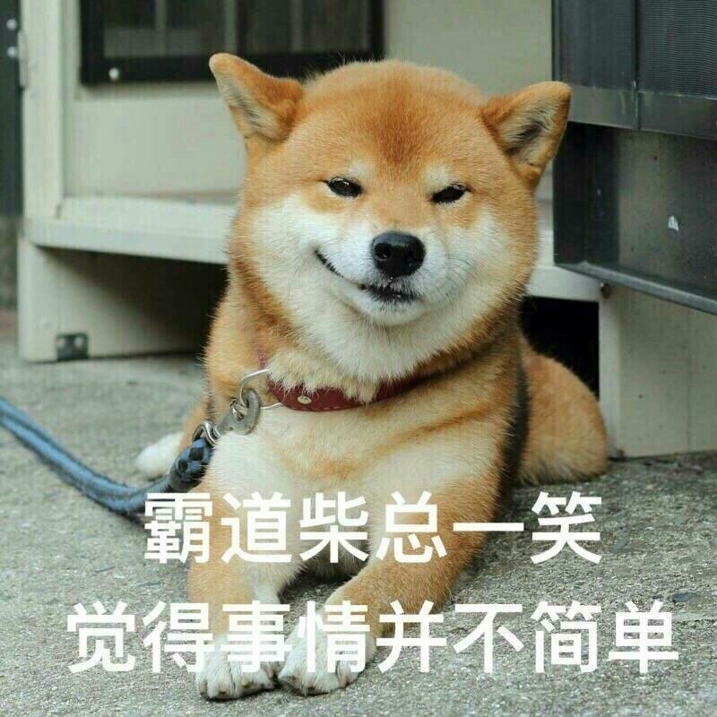 柴犬表情包熊扑奶团