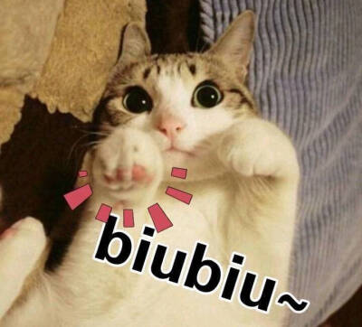 猫猫光波biubiubiu