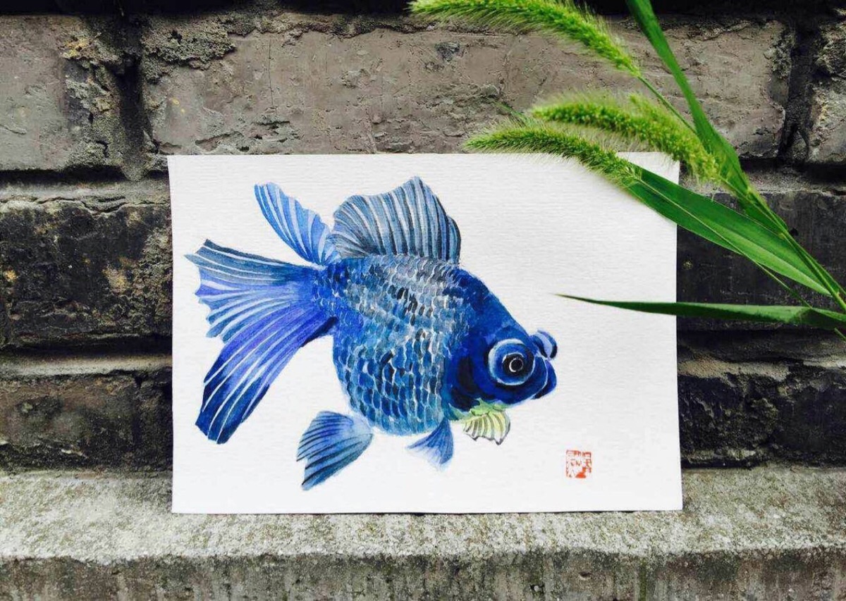 金鱼 鱼 水彩 手绘