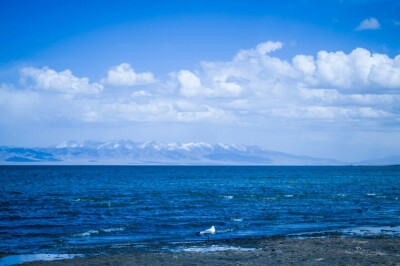 蓝色 大海 摄影 艺术『蓝色是一种暖色调』
