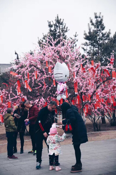 庙会- 堆糖,美图壁纸兴趣社区