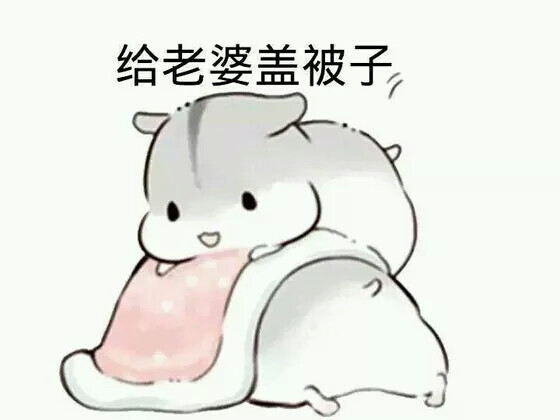 逗比 可爱 有趣 撩汉 撩妹 情侣专用 污表情包 纯文字 斗图专用