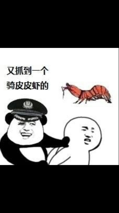 皮皮虾表情包