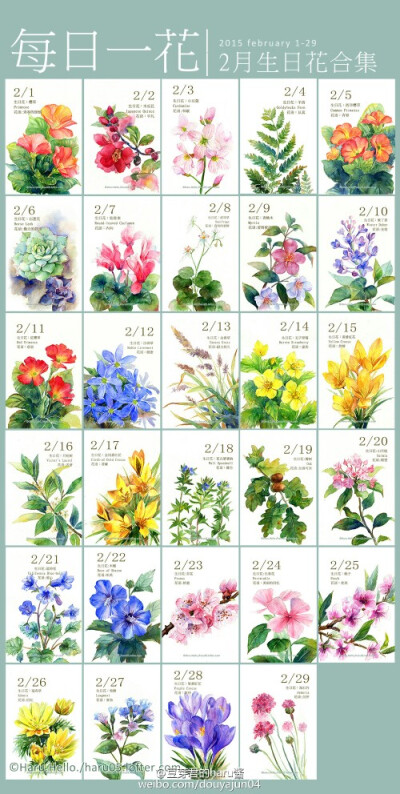 三月生日花