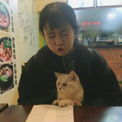 高冷女头抱猫