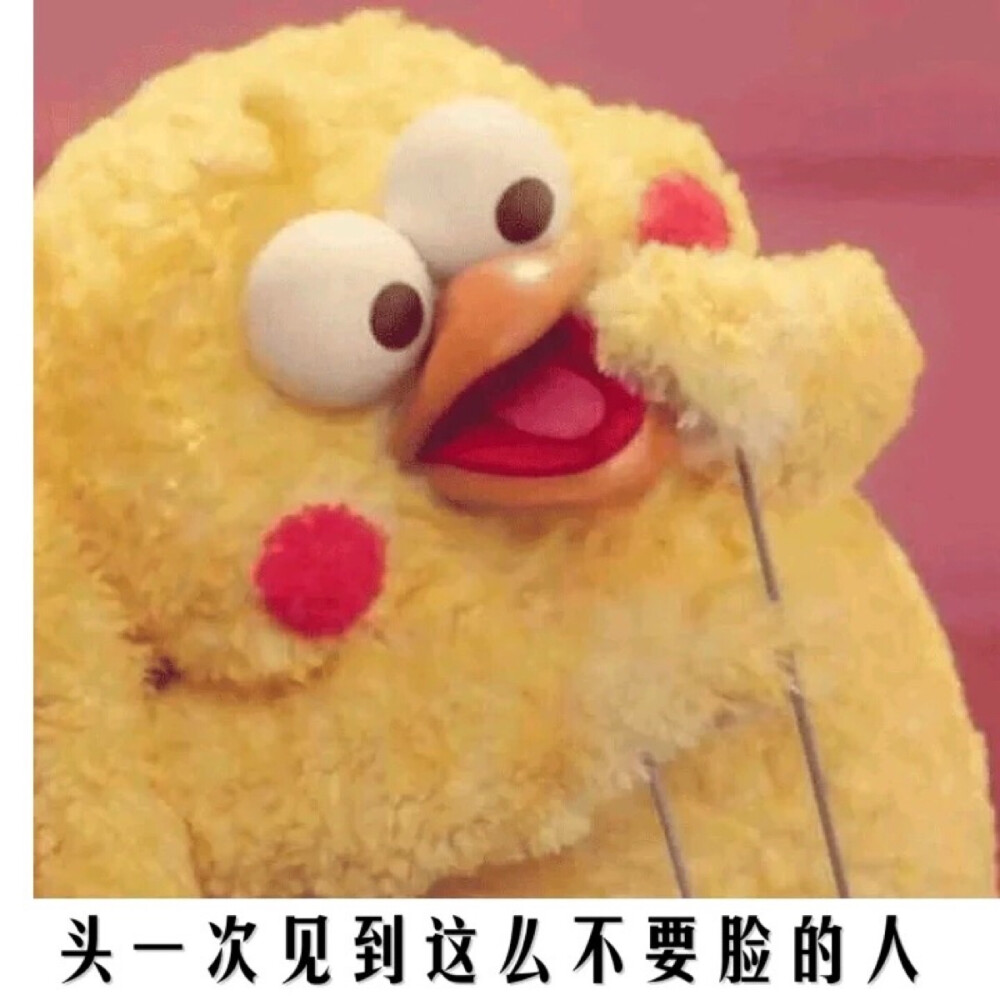 不要脸 