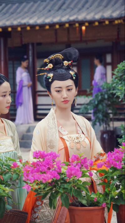 大唐荣耀·沈珍珠·景甜