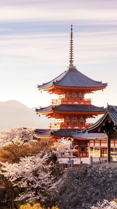 日本樱花祭京都作为日本人心灵故乡的千年之都,无论是樱花品种之多,亦