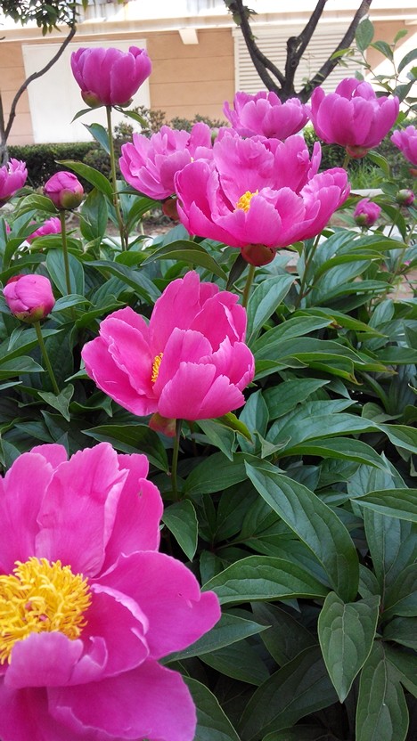 今天没发什么什么特别的事,三点一线的生活…