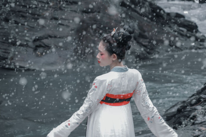 临江兮揽雪,姸媸惊雀隐。