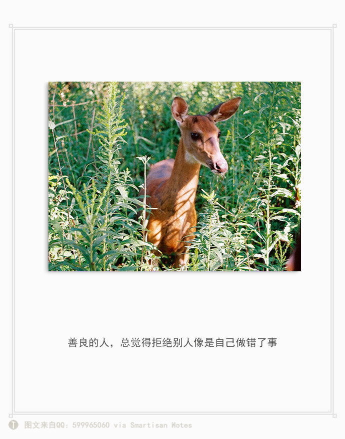 原创文字配图 、文字心情、备忘录、文艺文…