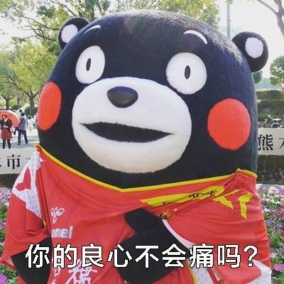 表情包 熊本熊 良心 搞笑 可爱 斗图 表情 装逼 撕逼 撩妹 逗比 聊天