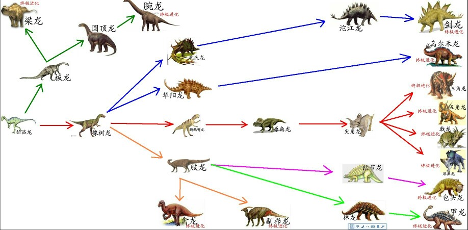 生物进化(4)