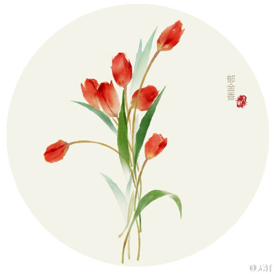 郁金香