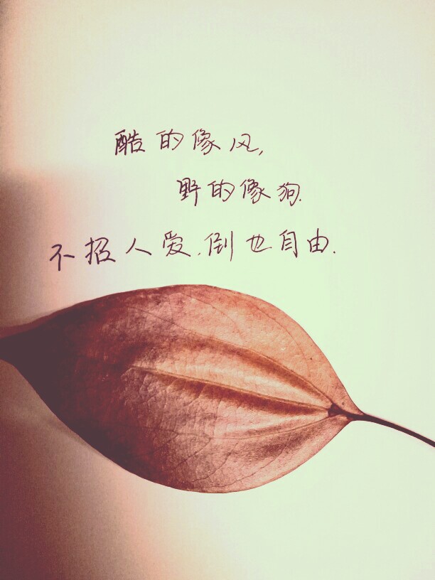 触及感情,方知你我都是俗人.留不住的人,空流的泪,都是执念.