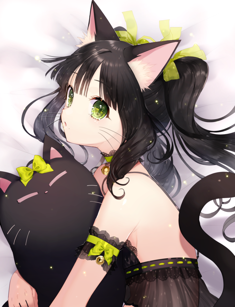 猫