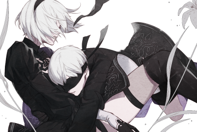 9s 2b