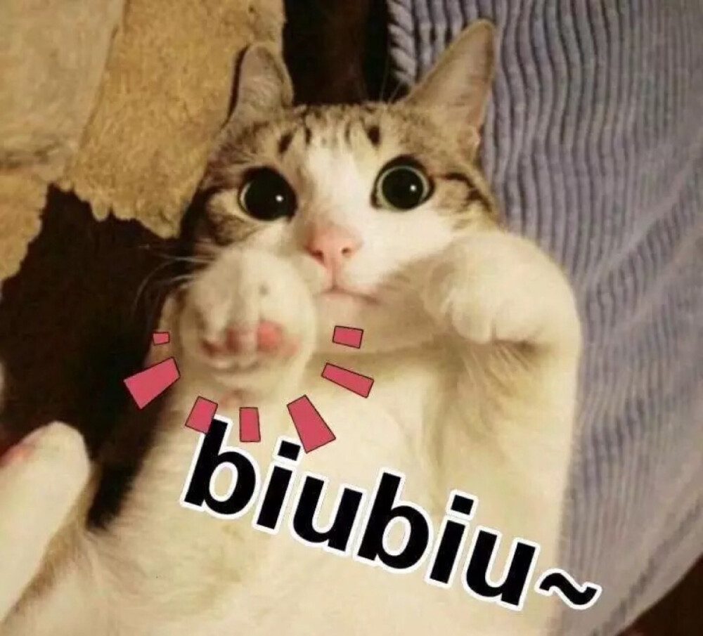 biubiu