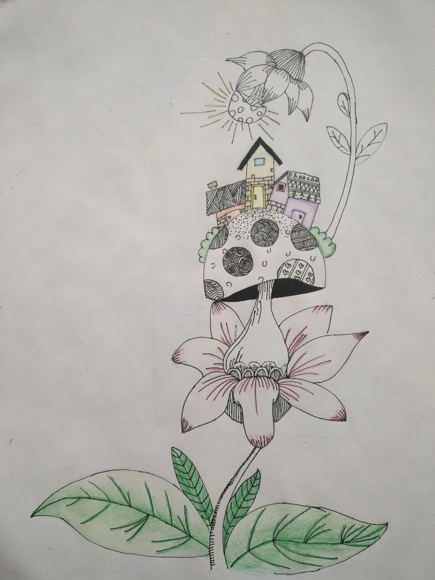创意线描 彩铅