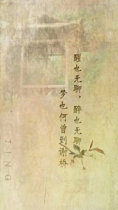 0条  收集   点赞  评论  诗词 0 35 猫九----  发布到  壁纸 图片