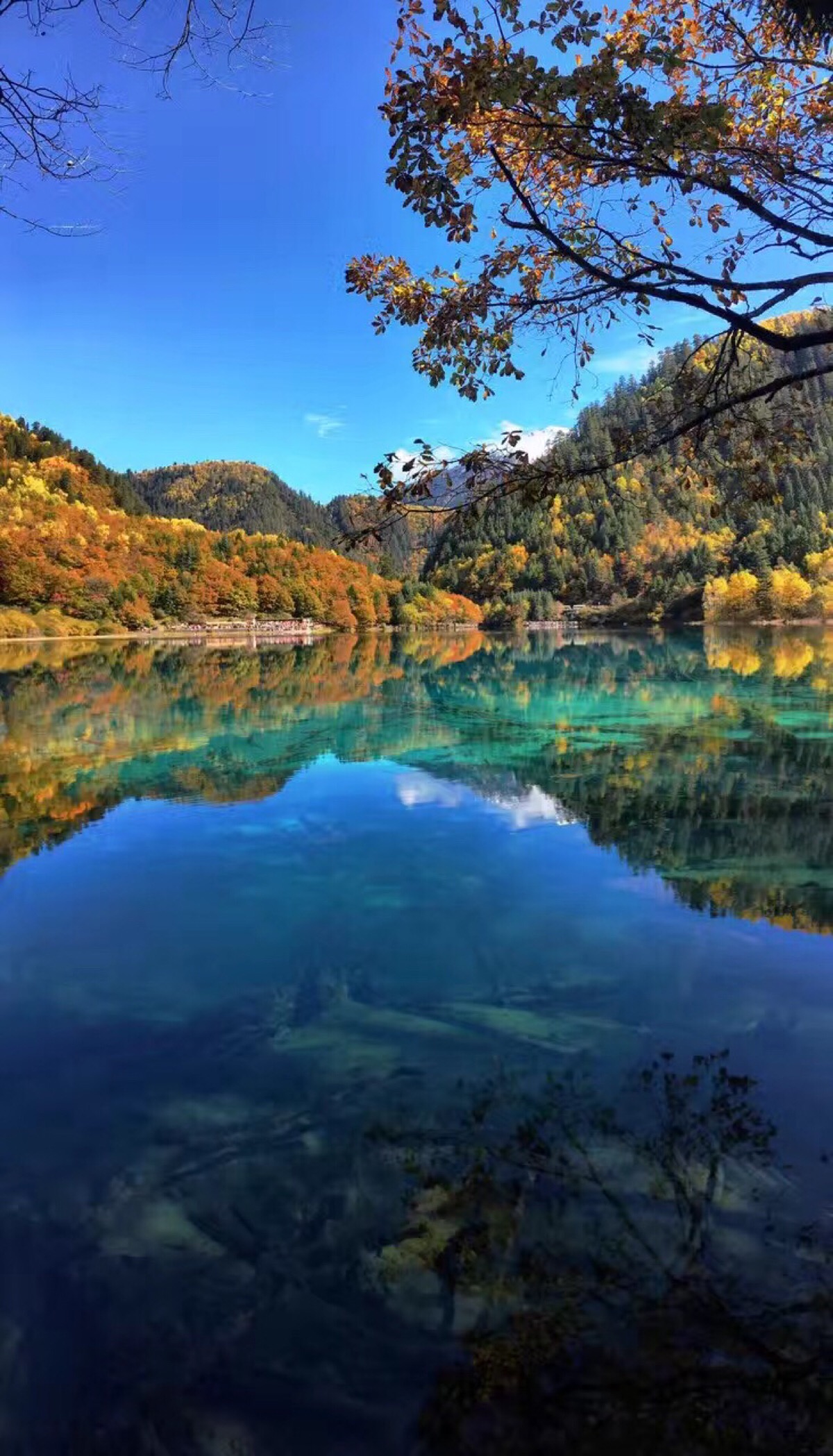 景景 堆糖网